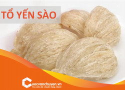 Thủ Tục Xuất Khẩu Tổ Yến, Yến Sào